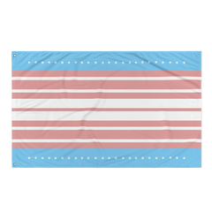 US Flag in Transgender Colors Flag