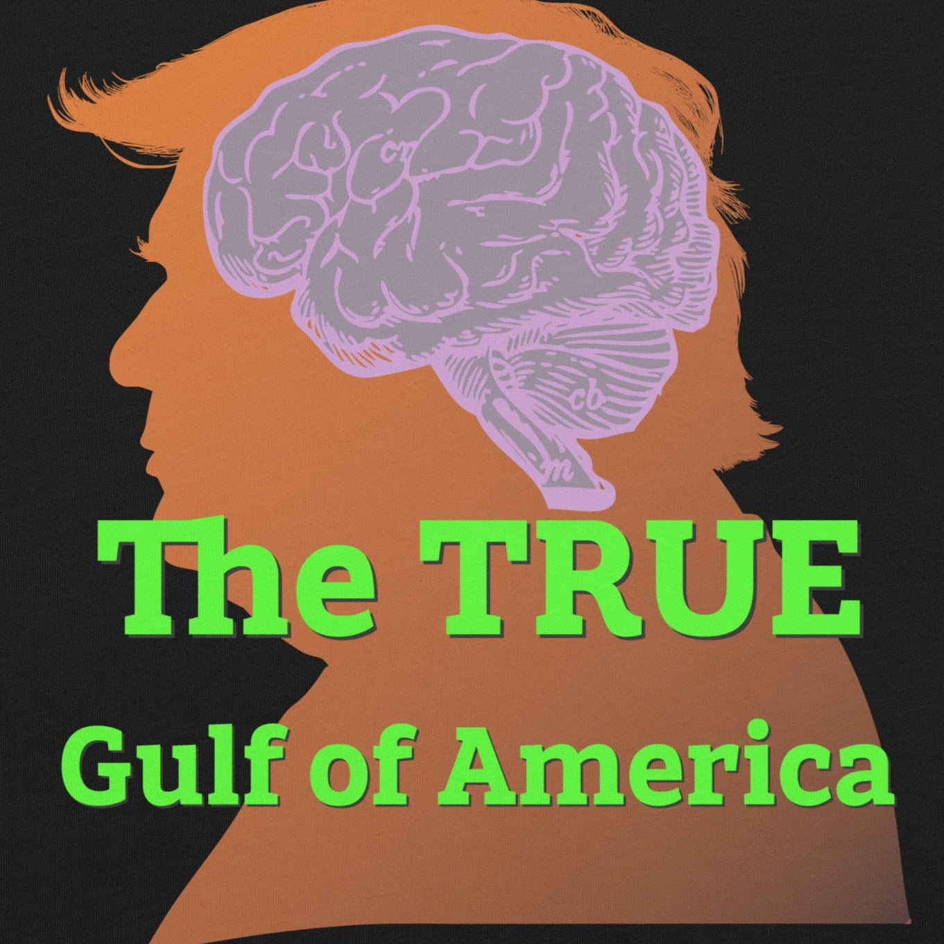 The TRUE Gulf of America t-shirt design featuring brain silhouette with vibrant text.