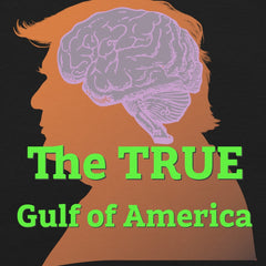 The TRUE Gulf of America t-shirt design featuring brain silhouette with vibrant text.