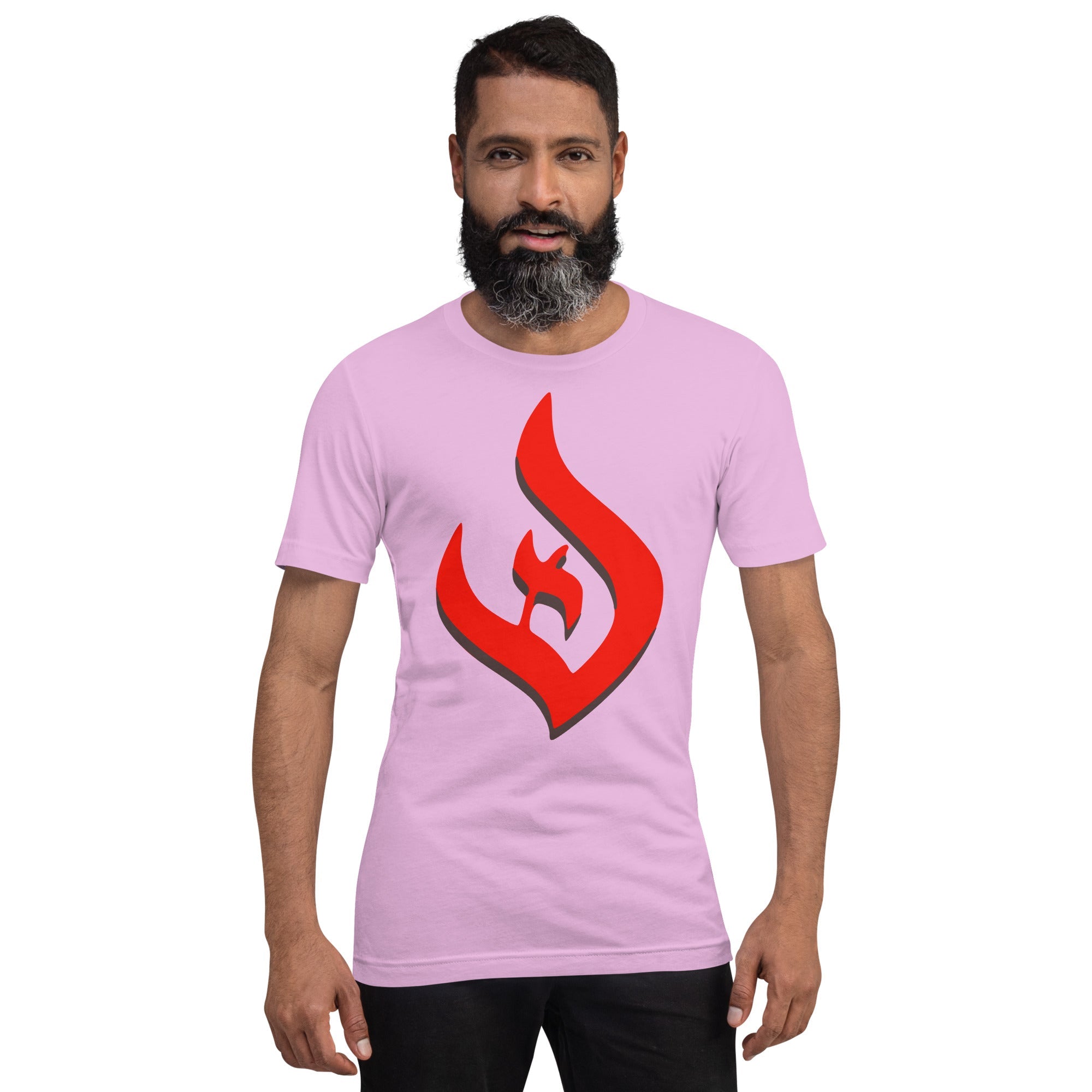 Deism Flame Unisex t-shirt with red flame logo and black shadow.