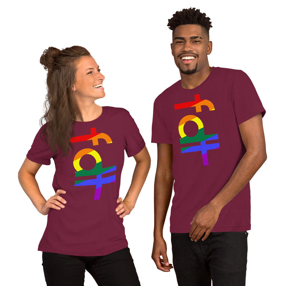 Unisex t-shirt in pride colors featuring FDT design, soft and lightweight with stretch.