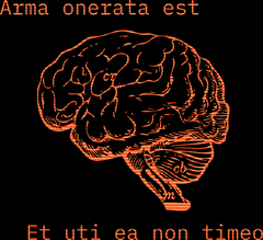 80s mainframe brain scan design with Latin text glowing amber on black background