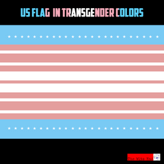 US Flag in Trans colors Car magnets