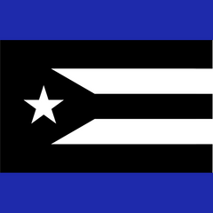 Borinquen (Puerto Rican protest) flag 7.5x4.5" Car magnets