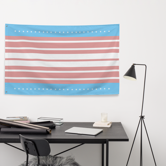 US Flag in Transgender Colors Flag