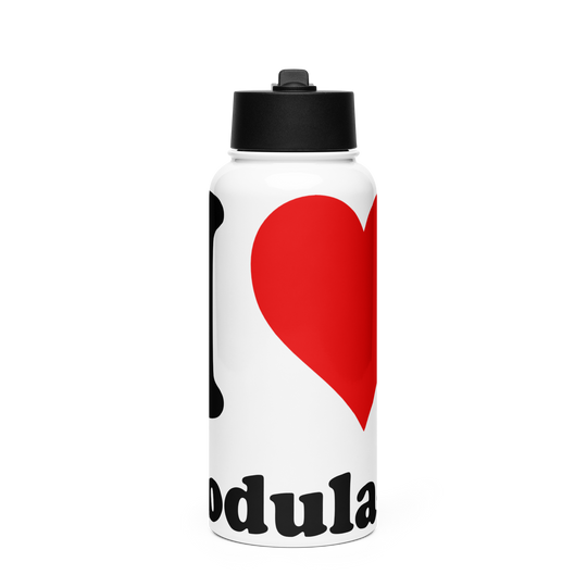 I Love Modula-2 Stainless steel water bottle with a straw lid