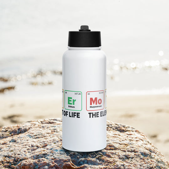 Stainless steel water bottle with straw lid and rotating handle, Mother - the Element of Life design, 32 oz capacity.